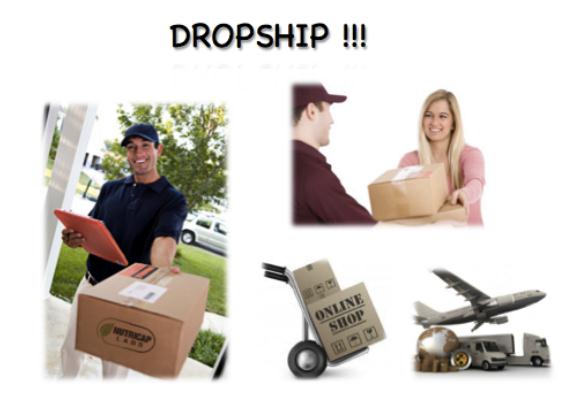 bisnis dropshipper